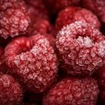 frozen food packaging