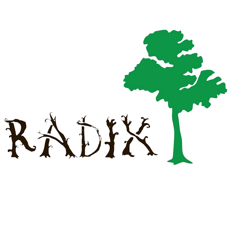 nancy radixcandy 坚果