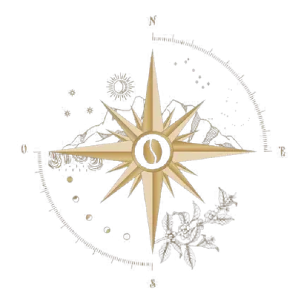 nancy encantoartisan coffee bean