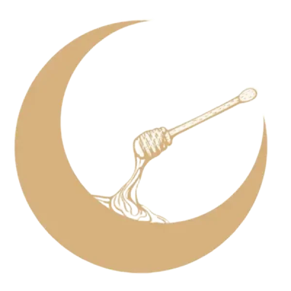 nancy honey moon coffee bean